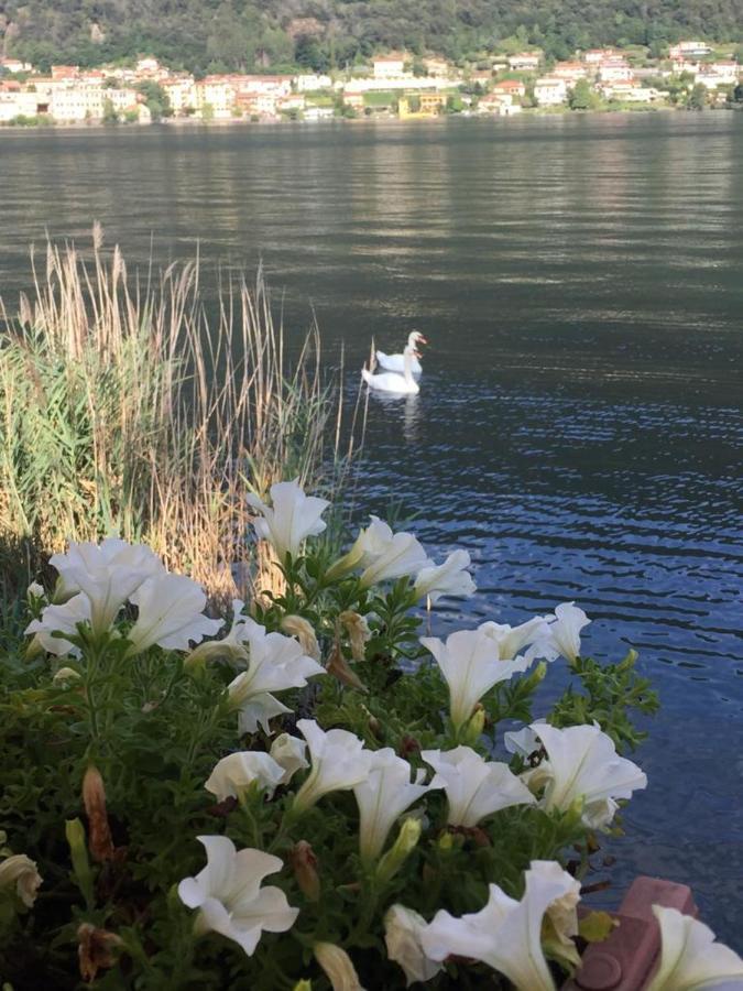 La Casa Dei Cigni Sul Lago D'Orta 奥梅尼亚 外观 照片